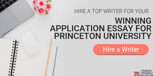 expert princeton university application essay